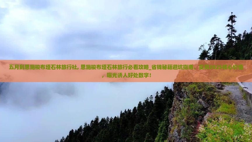 五月到恩施梭布垭石林旅行社