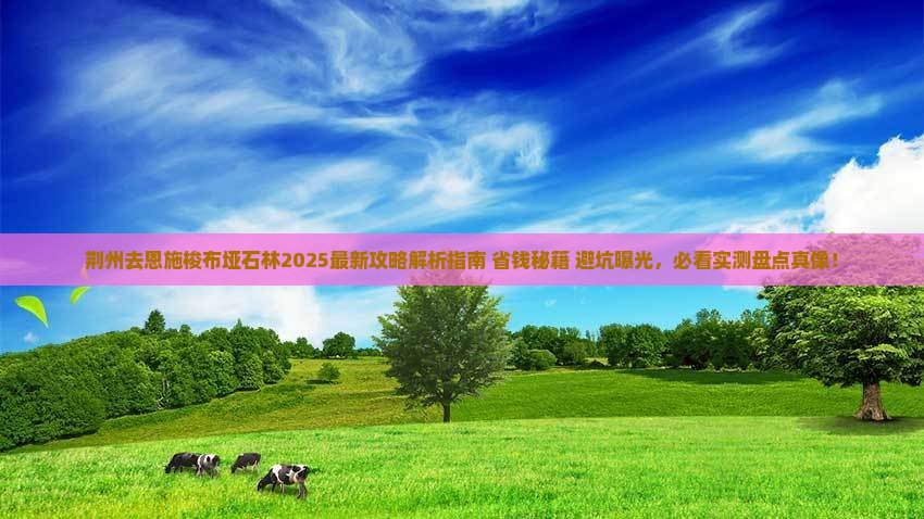 荆州去恩施梭布垭石林攻略