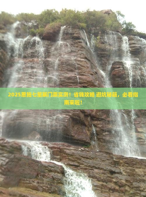 菏泽去恩施七星寨门票