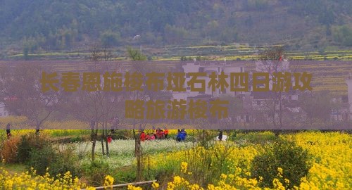 长春去恩施梭布垭石林四日游