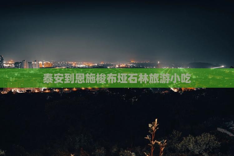 泰安到恩施梭布垭石林旅游小吃