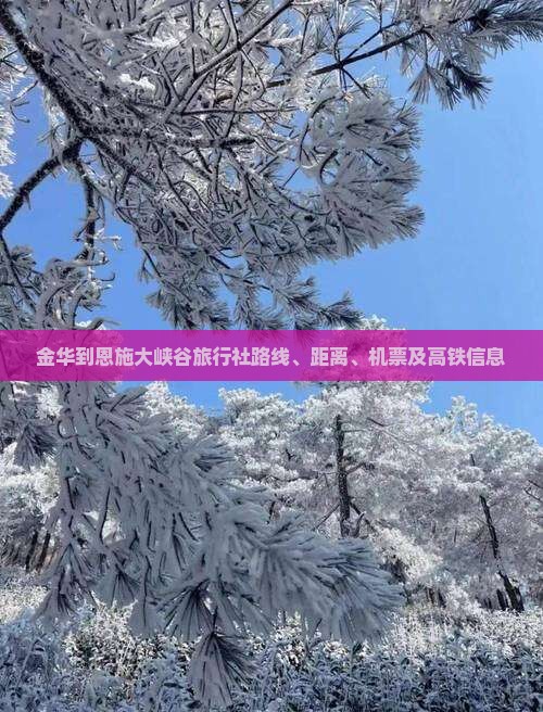 金华到恩施大峡谷旅行社