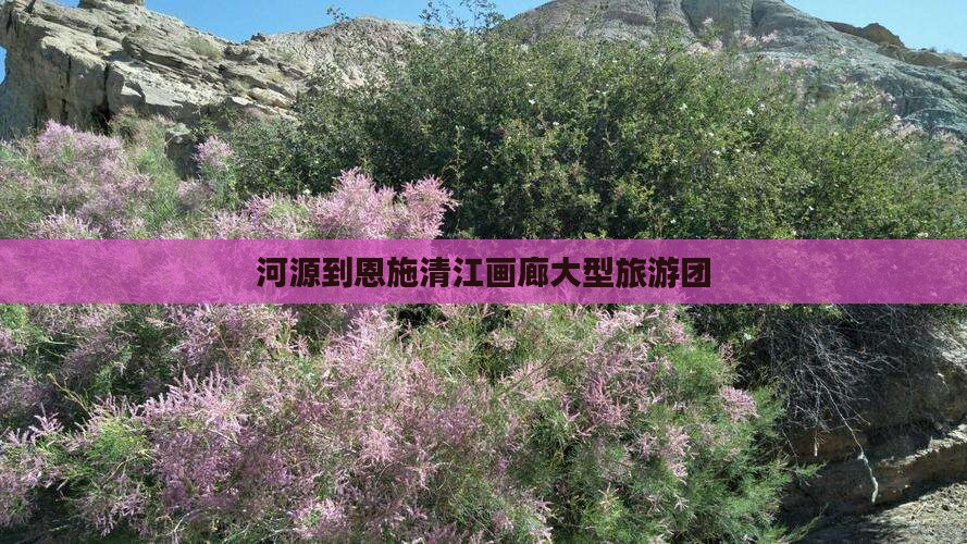 河源到恩施清江画廊大型旅游团