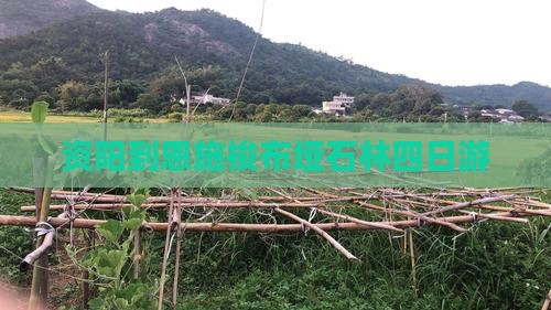 资阳到恩施梭布垭石林四日游