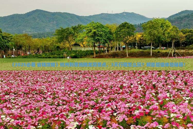 杭州到恩施腾龙洞景点 杭州到恩施腾龙洞景点