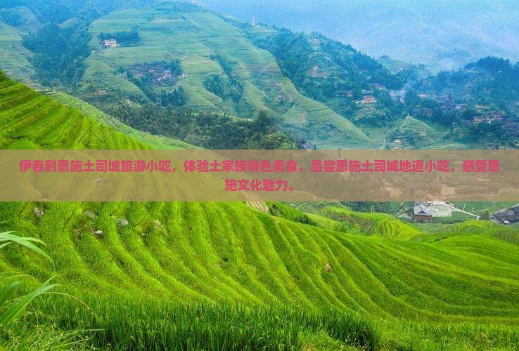 伊春到恩施土司城旅游小吃
