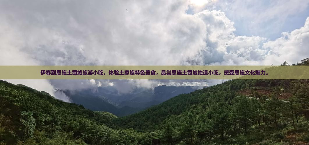 伊春到恩施土司城旅游小吃