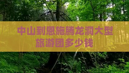 中山到恩施腾龙洞大型旅游团