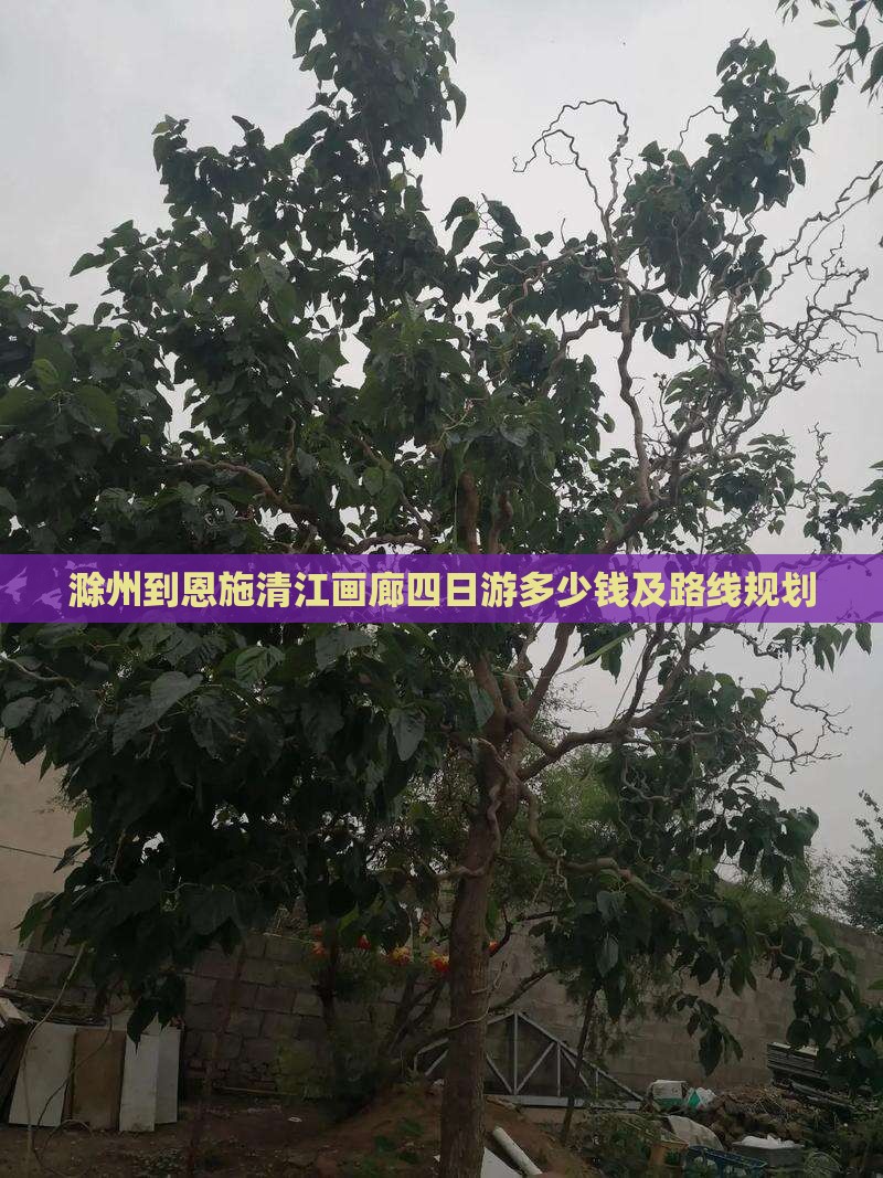 滁州到恩施清江画廊四日游