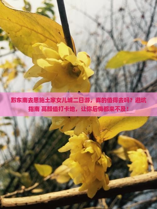 黔东南去恩施土家女儿城二日游