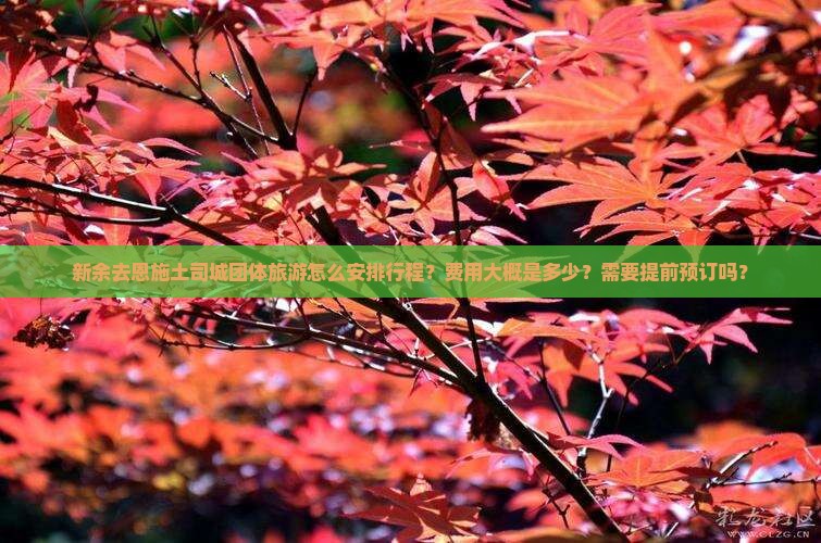 新余去恩施土司城团体旅游怎么安排行程？费用大概是多少？需要提前预订吗？
