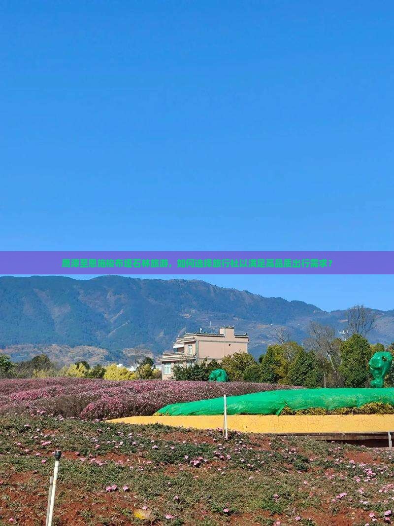 鹰潭至恩施梭布垭石林旅游,如何选择旅行社以满足高品质出行需求? 鹰潭至恩施梭布垭石林旅游,如何选择旅行社以满足高品质出行需求?