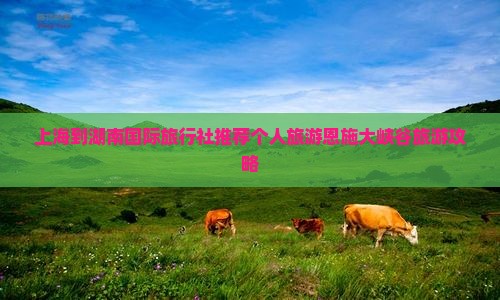 上海到湖南国际旅行社推荐个人旅游恩施大峡谷旅游攻略