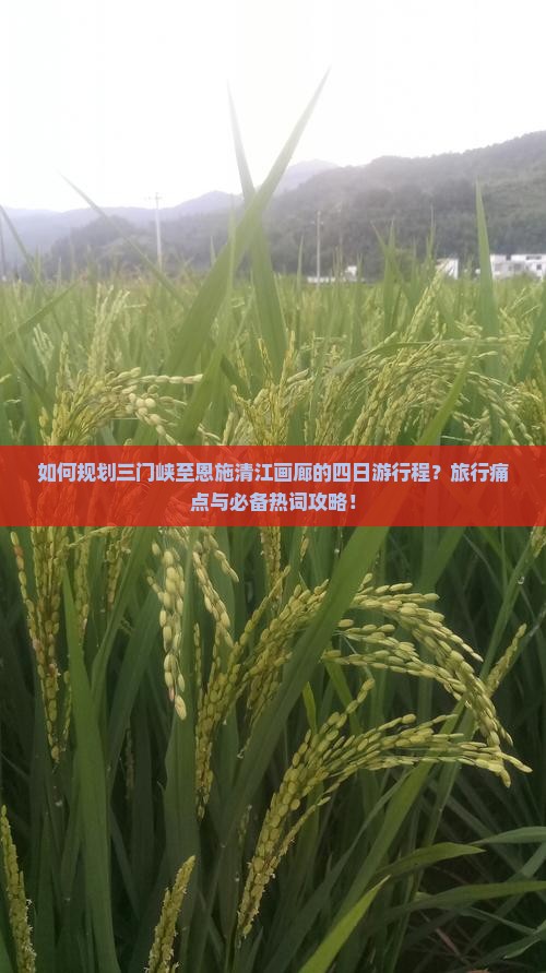 如何规划三门峡至恩施清江画廊的四日游行程？旅行痛点与必备热词攻略！