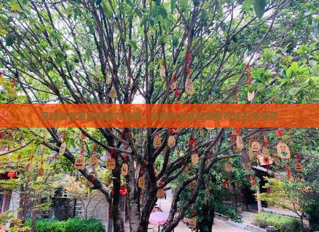恩施梭布景点探秘六日游：乌海市出发畅游梭布垭石林美景