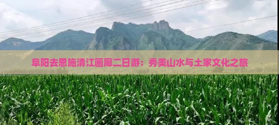 阜阳去恩施清江画廊二日游：秀美山水与土家文化之旅