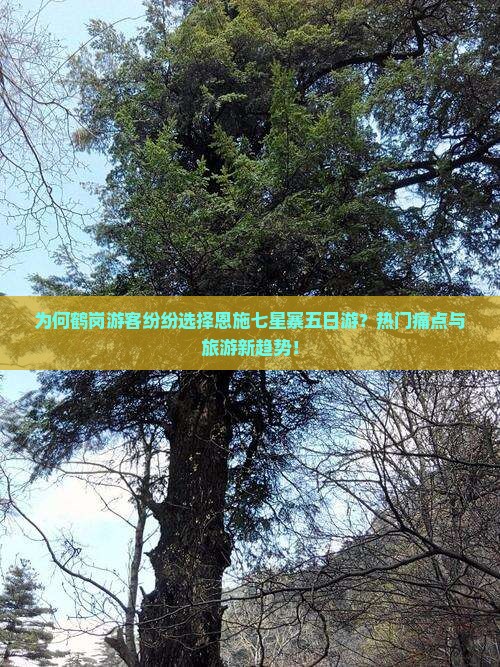 为何鹤岗游客纷纷选择恩施七星寨五日游？热门痛点与旅游新趋势！