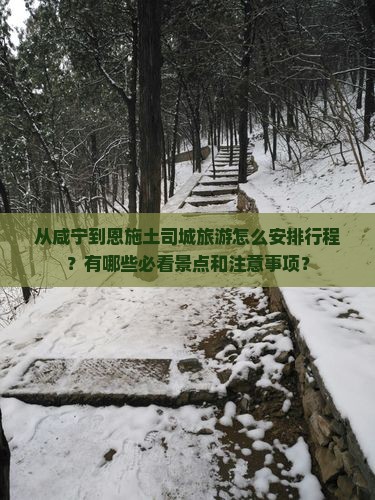 从咸宁到恩施土司城旅游怎么安排行程？有哪些必看景点和注意事项？