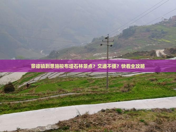 景德镇到恩施梭布垭石林景点？交通不便？快看全攻略