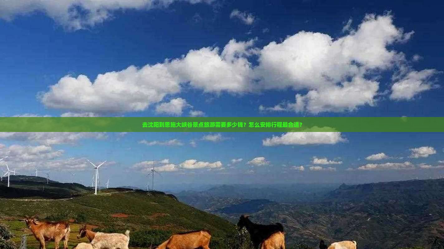 去沈阳到恩施大峡谷景点旅游需要多少钱？怎么安排行程最合适？