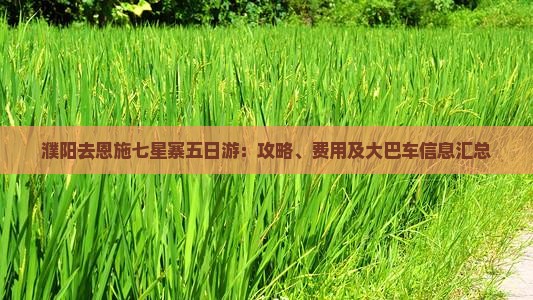 濮阳去恩施七星寨五日游：攻略、费用及大巴车信息汇总