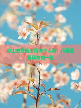 凉山去恩施土司城个人游：行程距离及攻略一览