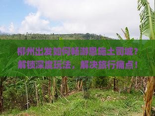 柳州出发如何畅游恩施土司城？解锁深度玩法，解决旅行痛点！