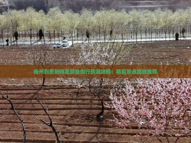 梅州到恩施腾龙洞自由行旅游攻略：精品景点路线推荐