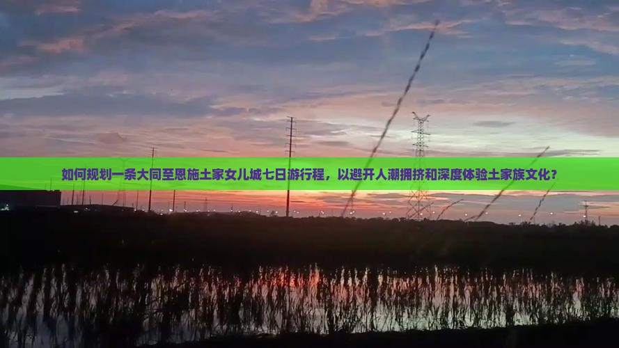 如何规划一条大同至恩施土家女儿城七日游行程，以避开人潮拥挤和深度体验土家族文化？