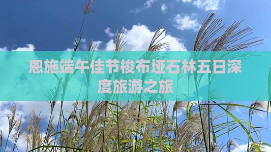 恩施端午佳节梭布垭石林五日深度旅游之旅
