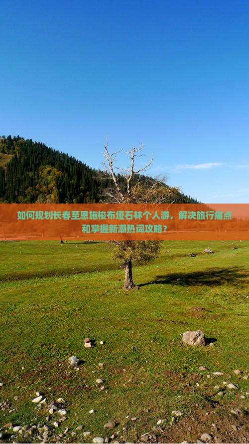 如何规划长春至恩施梭布垭石林个人游，解决旅行痛点和掌握新潮热词攻略？