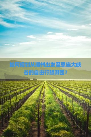 如何规划从潮州出发至恩施大峡谷的自由行旅游团？