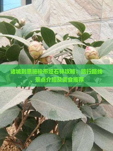 诸城到恩施梭布垭石林攻略：旅行路线、景点介绍及美食推荐