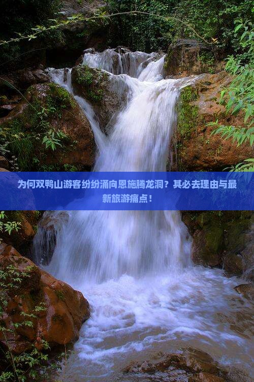 为何双鸭山游客纷纷涌向恩施腾龙洞？其必去理由与最新旅游痛点！