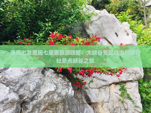 淮南出发恩施七星寨旅游攻略：大峡谷专题自由行旅行社景点峡谷之旅