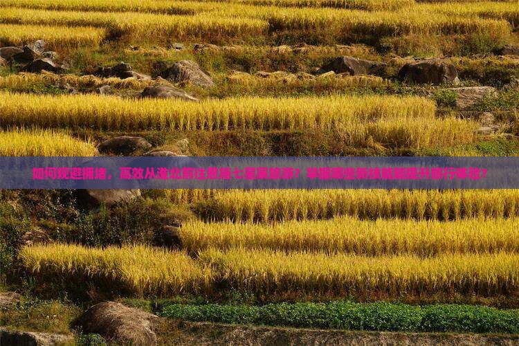 如何规避拥堵，高效从淮北前往恩施七星寨旅游？掌握哪些新技能能提升旅行体验？