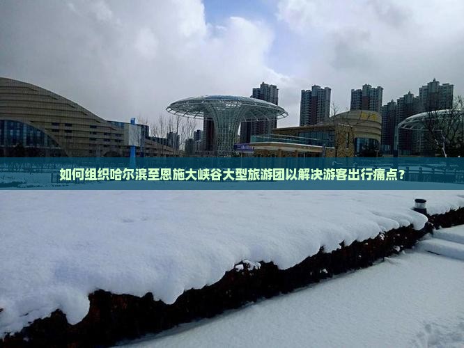 如何组织哈尔滨至恩施大峡谷大型旅游团以解决游客出行痛点？