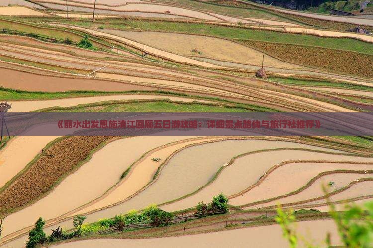 《丽水出发恩施清江画廊五日游攻略：详细景点路线与旅行社推荐》
