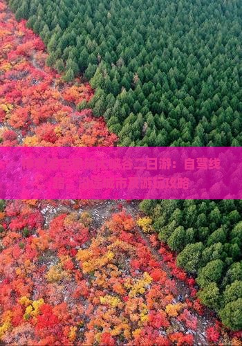 神农架去恩施大峡谷二日游:自驾线路、沿途城市及游玩攻略 神农架去恩施大峡谷二日游:自驾线路、沿途城市及游玩攻略
