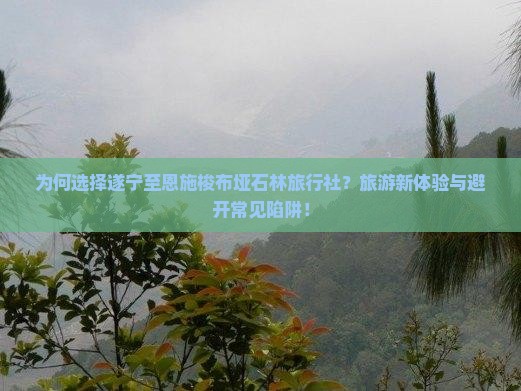 为何选择遂宁至恩施梭布垭石林旅行社？旅游新体验与避开常见陷阱！