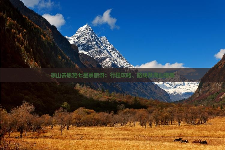 凉山去恩施七星寨旅游：行程攻略、路线及爬山指南