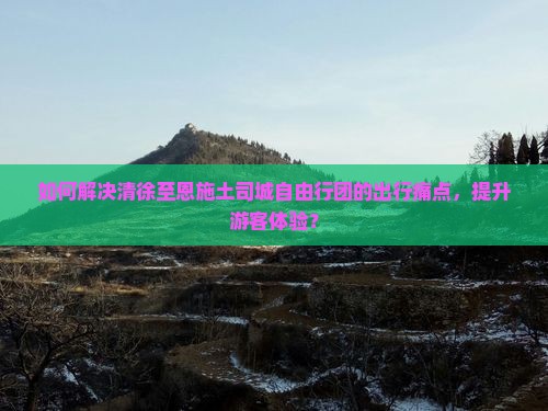 如何解决清徐至恩施土司城自由行团的出行痛点，提升游客体验？
