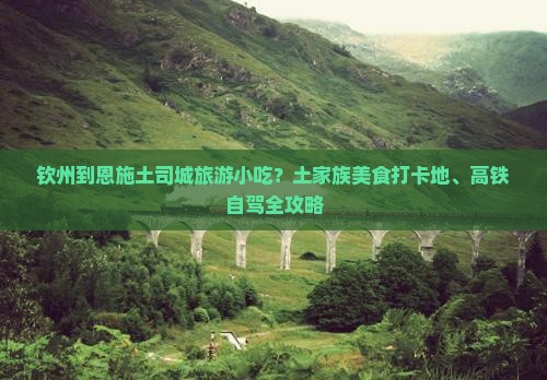 钦州到恩施土司城旅游小吃？土家族美食打卡地、高铁自驾全攻略