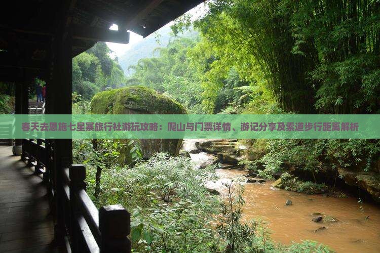 春天去恩施七星寨旅行社游玩攻略：爬山与门票详情、游记分享及索道步行距离解析