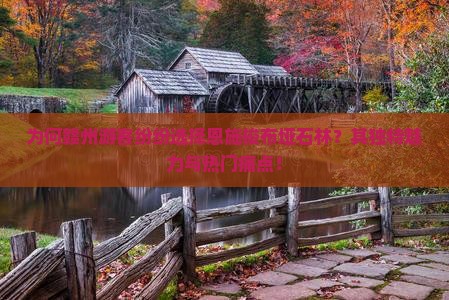 为何赣州游客纷纷选择恩施梭布垭石林？其独特魅力与热门痛点！