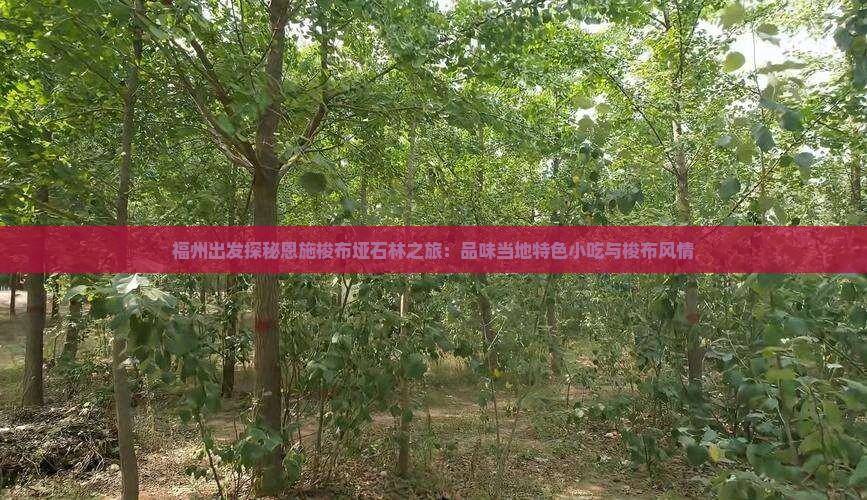 福州出发探秘恩施梭布垭石林之旅：品味当地特色小吃与梭布风情