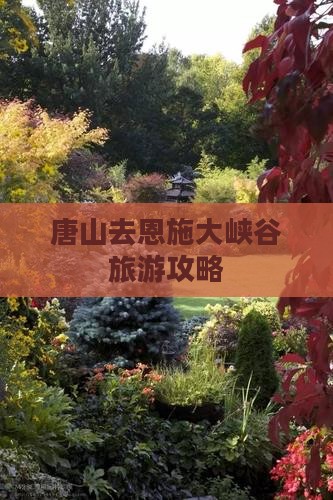 唐山去恩施大峡谷旅游攻略