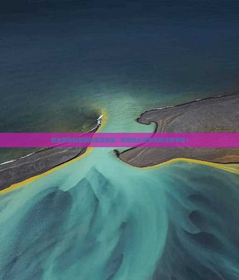 想去伊春和恩施腾龙洞旅游，有哪些必看景点和注意事项？