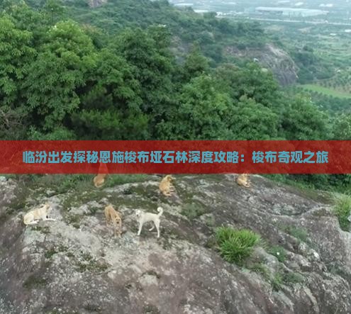 临汾出发探秘恩施梭布垭石林深度攻略：梭布奇观之旅