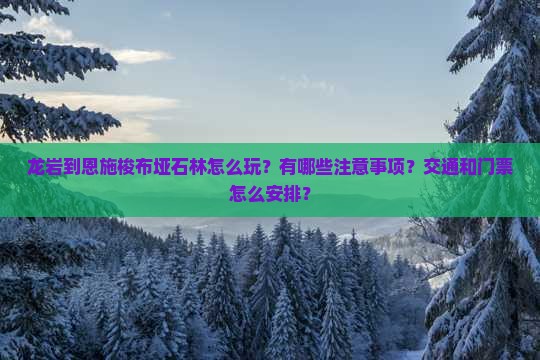 龙岩到恩施梭布垭石林怎么玩？有哪些注意事项？交通和门票怎么安排？